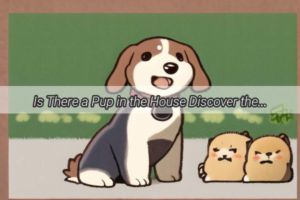 Is There a Pup in the House Discover the Surprising Sign of an Upcoming Litter of Puppies